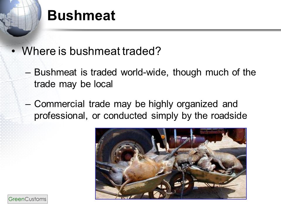 Bushmeat Where is bushmeat traded.