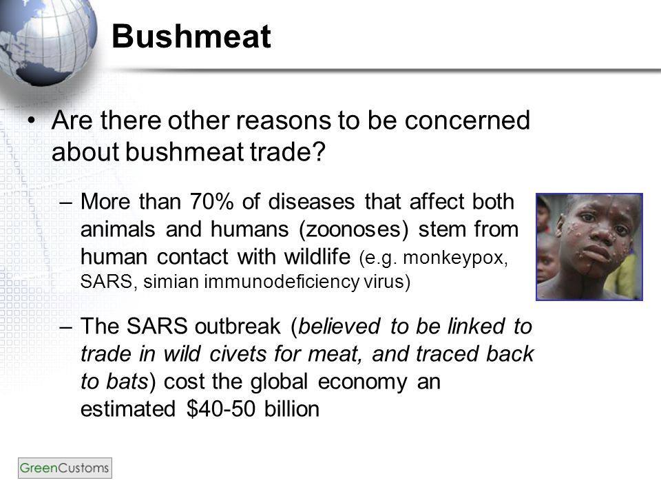 Bushmeat Are there other reasons to be concerned about bushmeat trade.