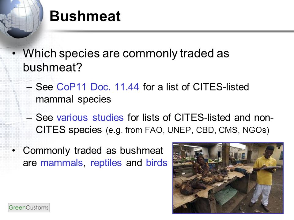 Bushmeat Which species are commonly traded as bushmeat.