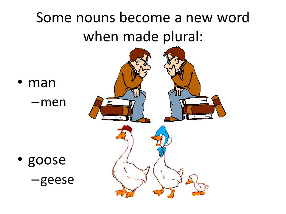 Some nouns become a new word when made plural: man – men goose – geese