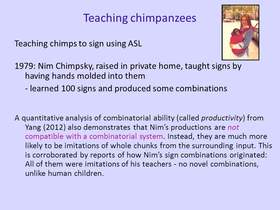 Teaching chimpanzees Teaching chimps to sign using ASL 1979: Nim Chimpsky, raised in private home, taught signs by having hands molded into them - learned 100 signs and produced some combinations But combinations produced are very different from those of a human child - very repetitive, no additional complexity: 2-sign3-sign4-sign eat drink eat me Nim eat drink eat drink tickle me me Nim eat play me Nim play