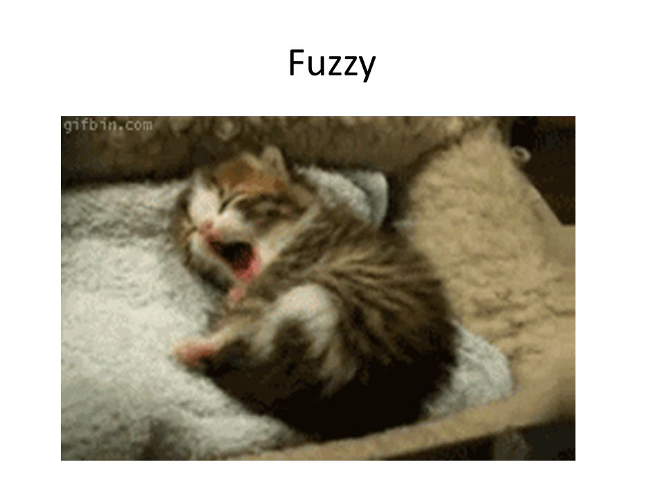 Fuzzy