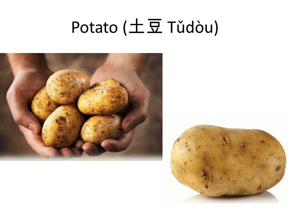 Potato ( 土豆 Tǔdòu)
