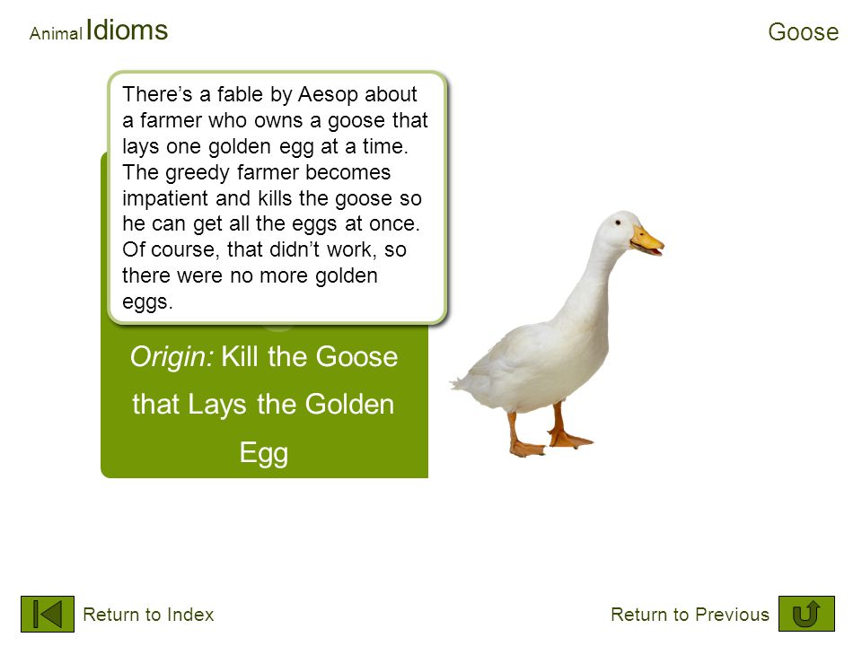 Choose an animal to learn an idiom about it. Animal Idioms Press ...