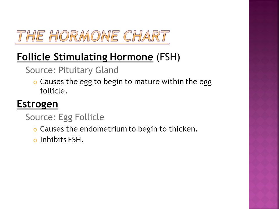 Follicle Stimulating Hormone (FSH) Source: Pituitary Gland Causes the egg to begin to mature within the egg follicle.