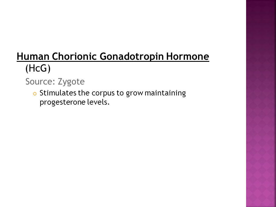 Human Chorionic Gonadotropin Hormone (HcG) Source: Zygote Stimulates the corpus to grow maintaining progesterone levels.