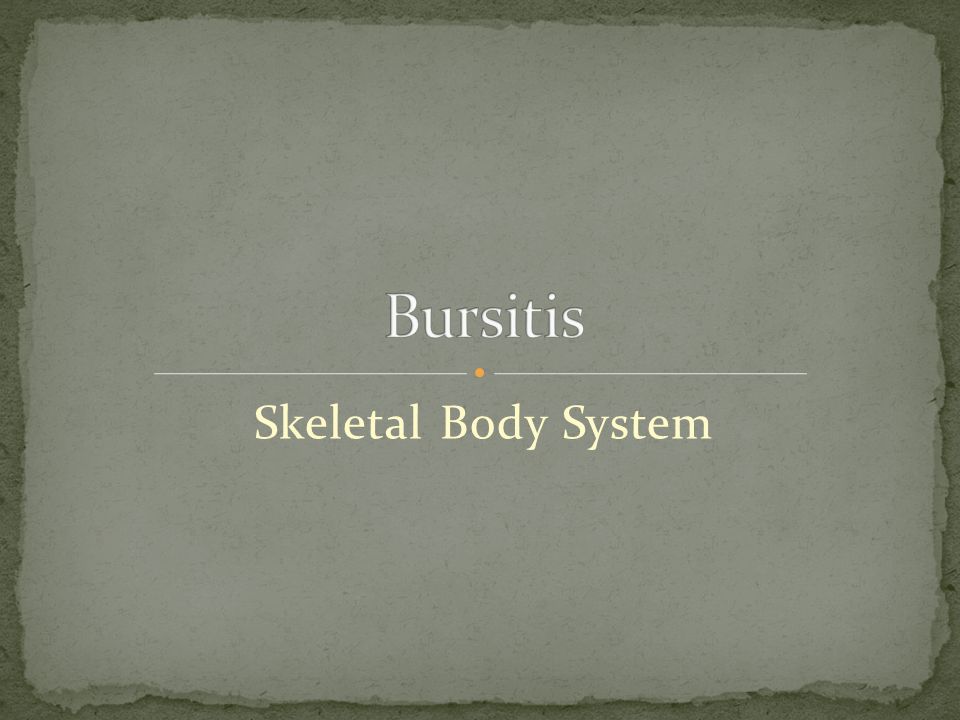Skeletal Body System