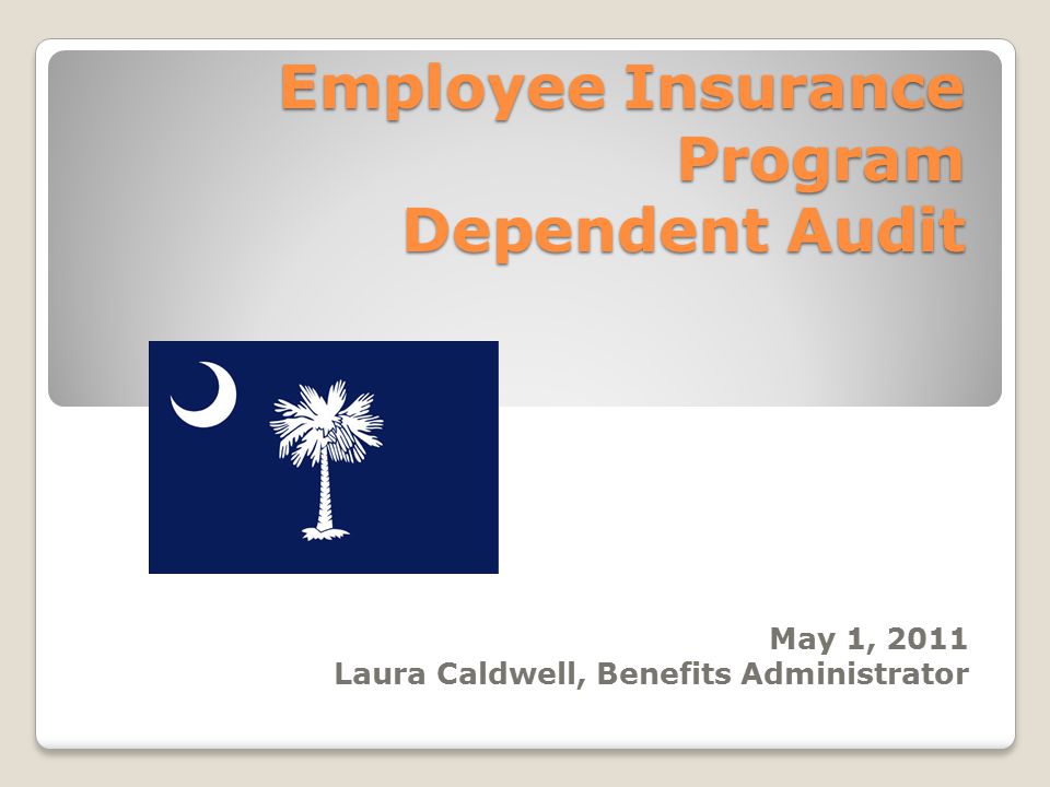 Employee Insurance Program Dependent Audit May 1, 2011 Laura Caldwell, Benefits Administrator