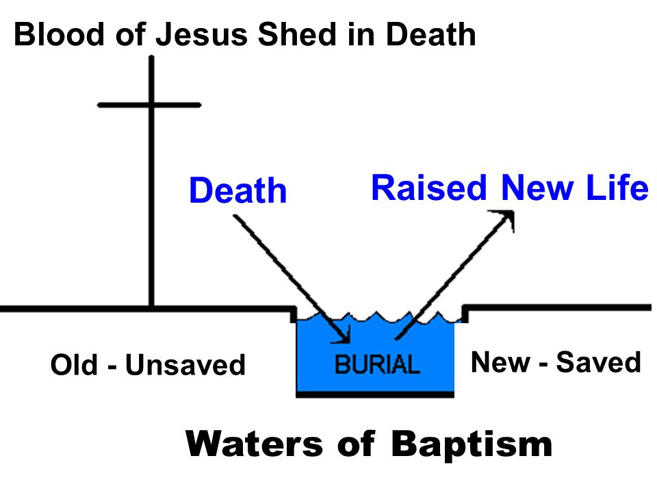 Blood of Jesus Shed in Death Death Raised New Life Old - Unsaved New - Saved Waters of Baptism