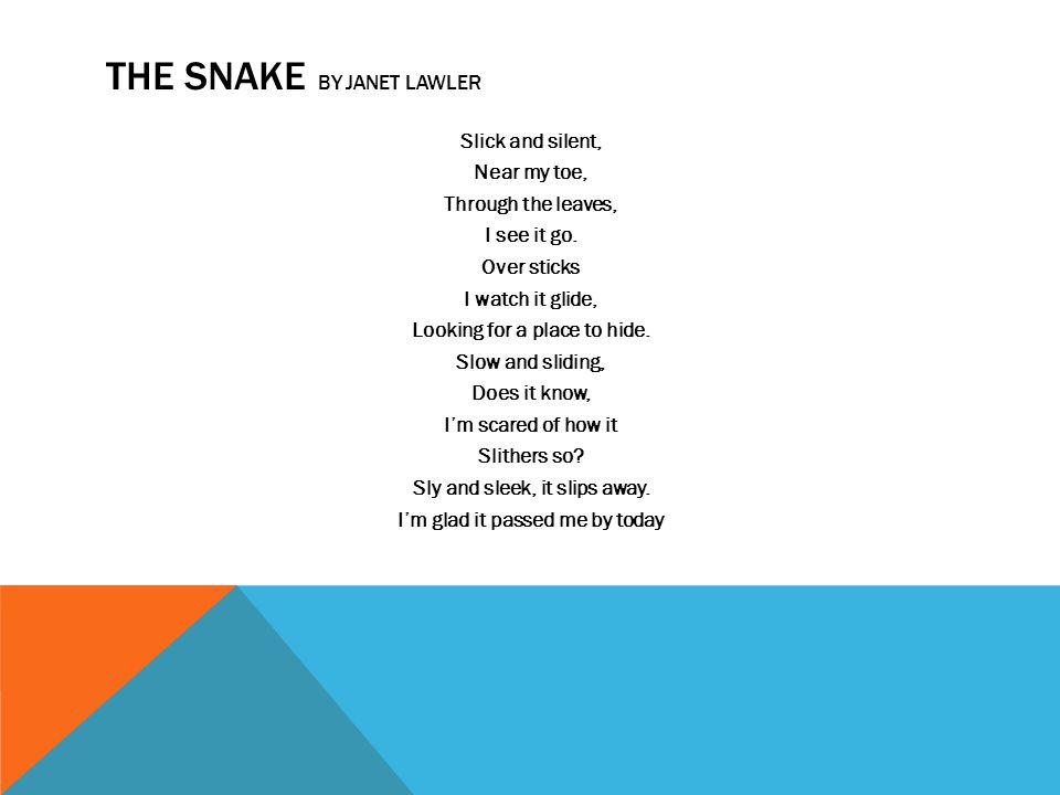 THE SNAKE BY JANET LAWLER Slick and silent, Near my toe, Through the leaves, I see it go.