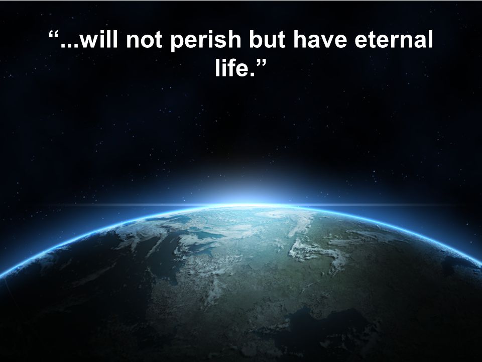 ...will not perish but have eternal life.