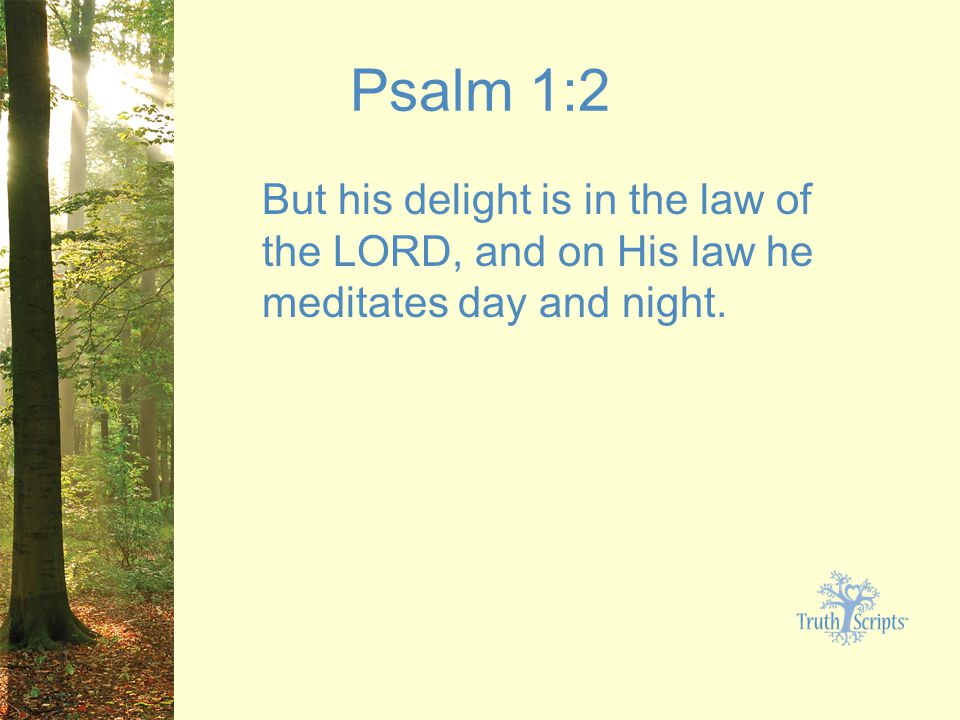 Psalm 1:2 But his delight is in the law of the LORD, and on His law he meditates day and night.