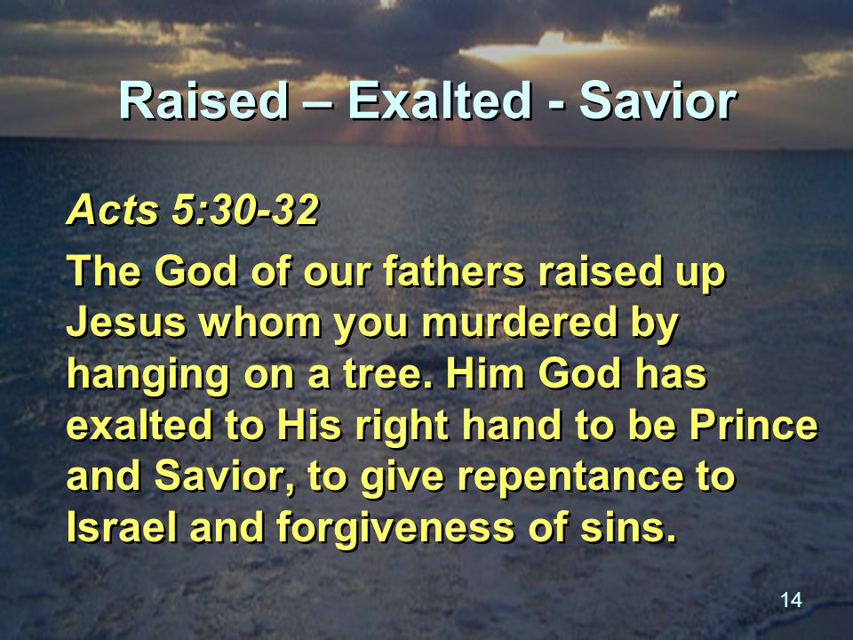 14 Raised – Exalted - Savior Acts 5:30-32 The God of our fathers raised up Jesus whom you murdered by hanging on a tree.