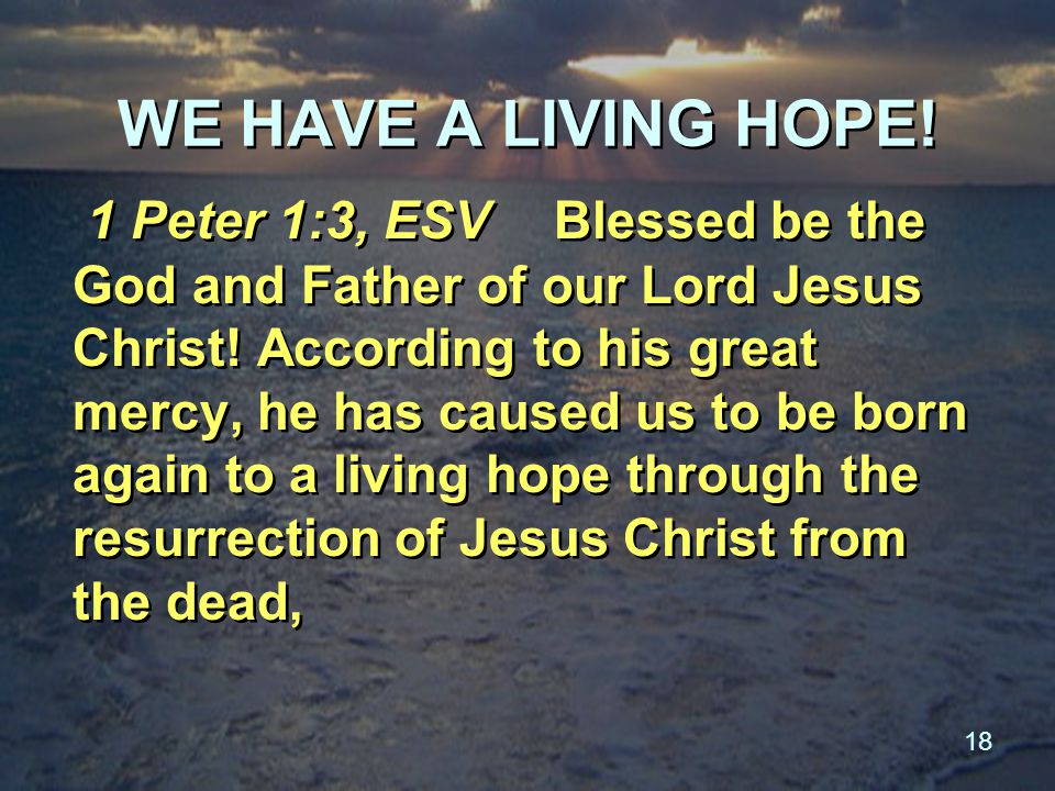 18 WE HAVE A LIVING HOPE. 1 Peter 1:3, ESV Blessed be the God and Father of our Lord Jesus Christ.