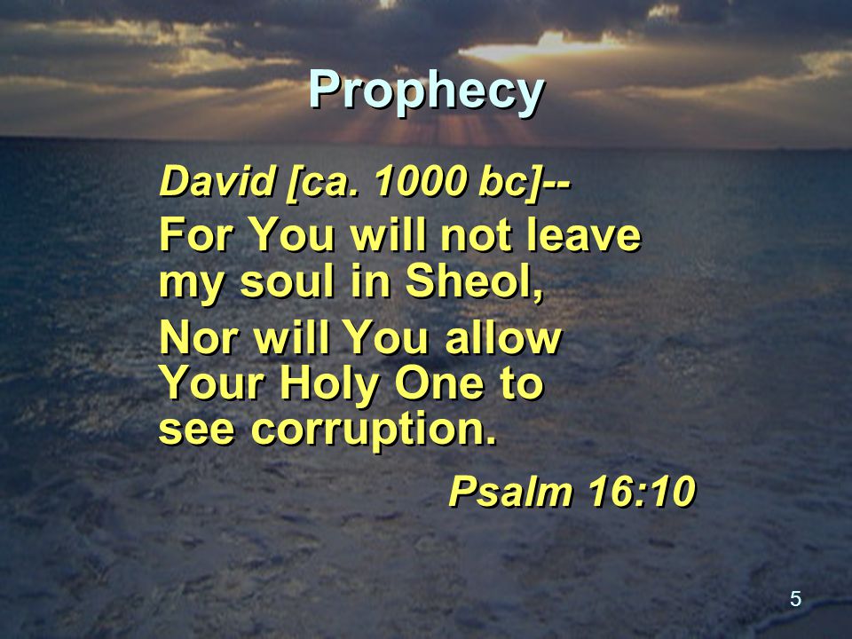5 Prophecy David [ca.