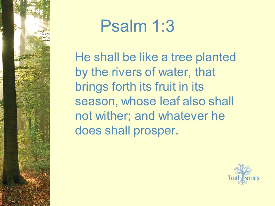 Psalm 1:3 He shall be like a tree planted by the rivers of water, that brings forth its fruit in its season, whose leaf also shall not wither; and whatever he does shall prosper.