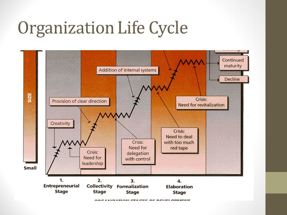 Organization Life Cycle