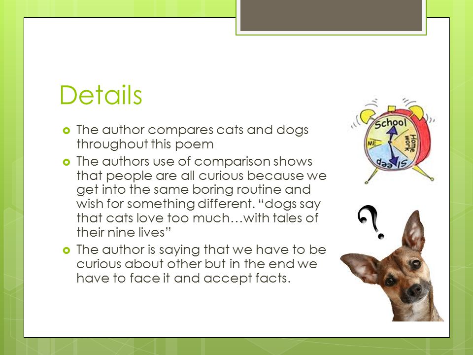 Details  The author compares cats and dogs throughout this poem  The authors use of comparison shows that people are all curious because we get into the same boring routine and wish for something different.