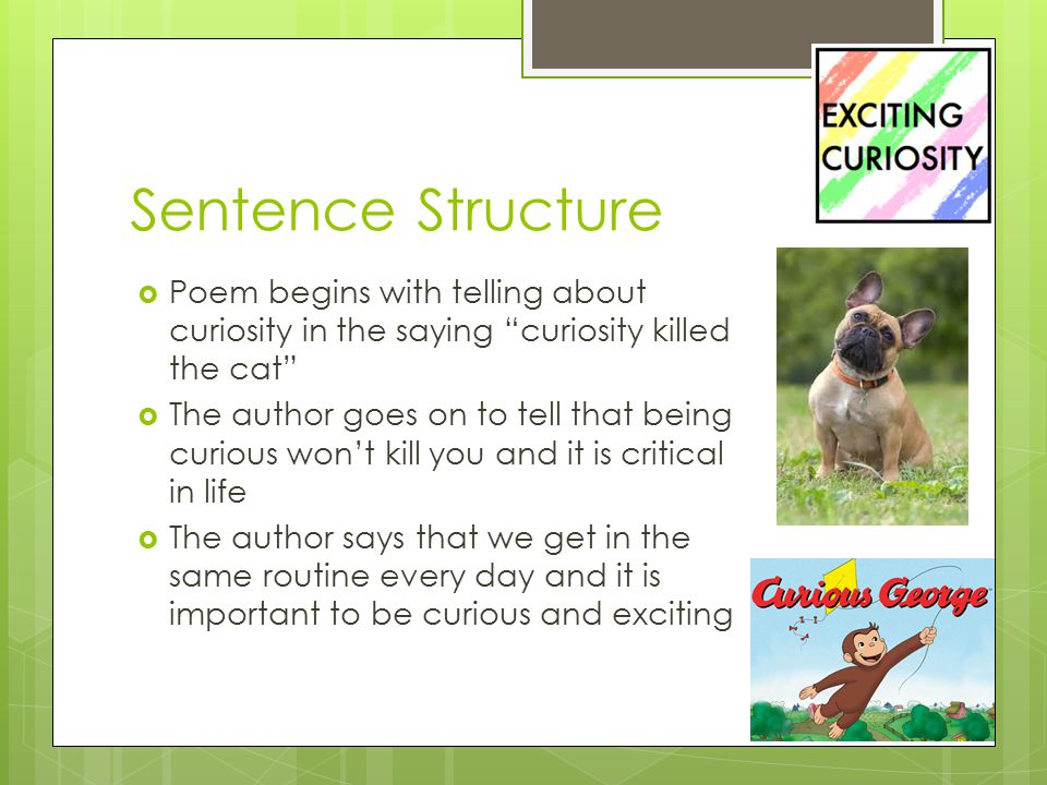 Sentence Structure  Poem begins with telling about curiosity in the saying curiosity killed the cat  The author goes on to tell that being curious won’t kill you and it is critical in life  The author says that we get in the same routine every day and it is important to be curious and exciting