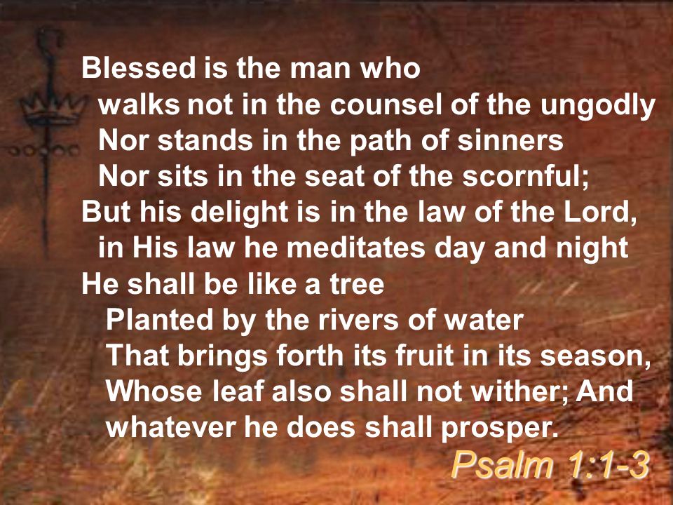 Blessed is the man who walks not in the counsel of the ungodly Nor stands in the path of sinners Nor sits in the seat of the scornful; But his delight is in the law of the Lord, in His law he meditates day and night He shall be like a tree Planted by the rivers of water That brings forth its fruit in its season, Whose leaf also shall not wither; And whatever he does shall prosper.