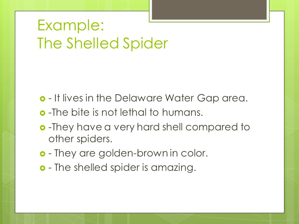 Example: The Shelled Spider  - It lives in the Delaware Water Gap area.