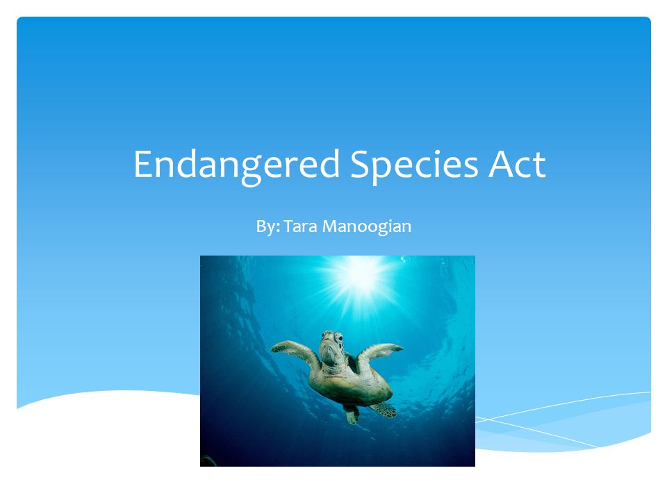 Endangered Species Act By: Tara Manoogian