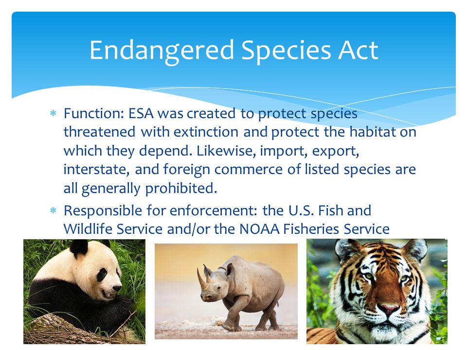  Function: ESA was created to protect species threatened with extinction and protect the habitat on which they depend.