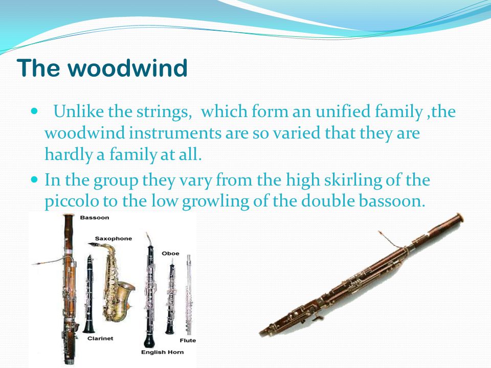 The Orchestra has 4 families. The strings, woodwind, brass and percussion.  - ppt download