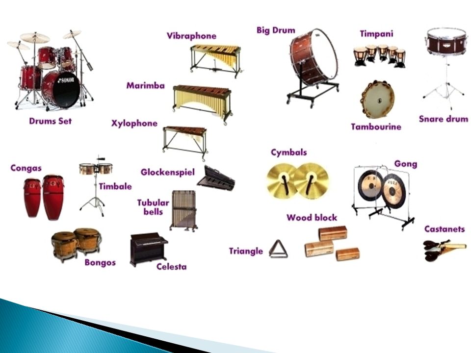 Music Appreciation Musical Instruments. - ppt download