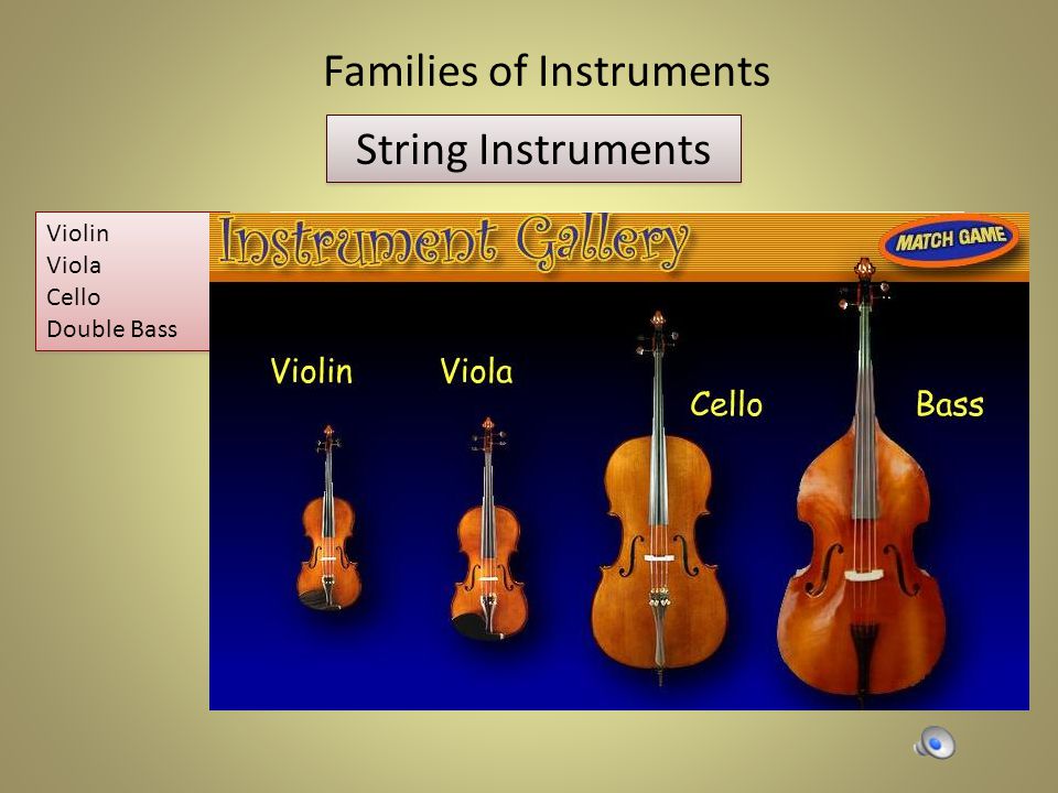 Violin viola cello and double bass deals