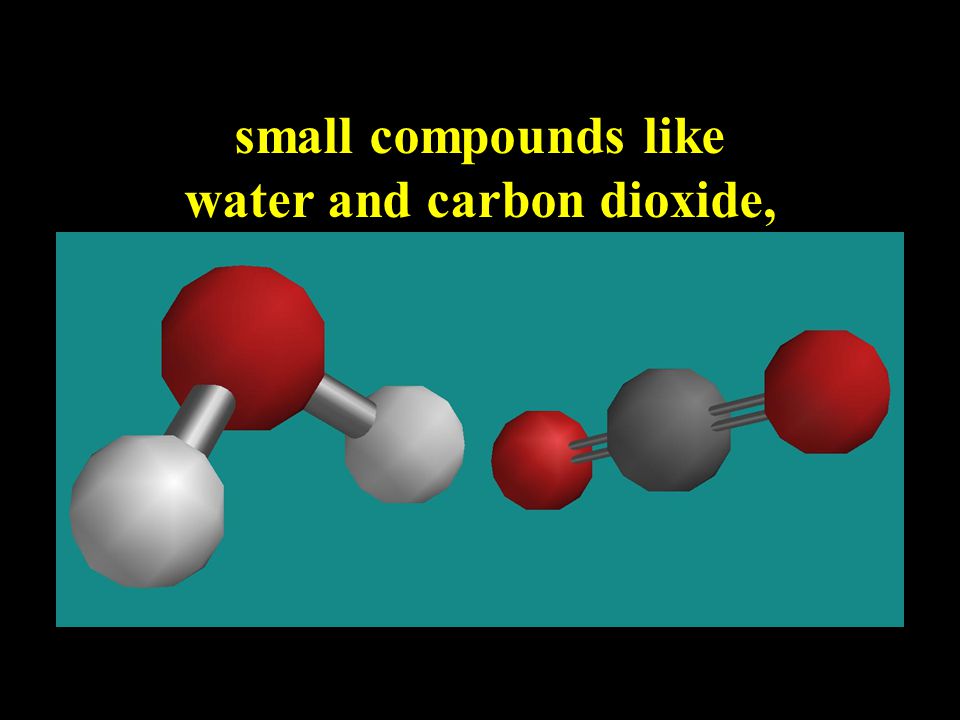 Covalent bonding allows for an amazingly large variety of compounds such as