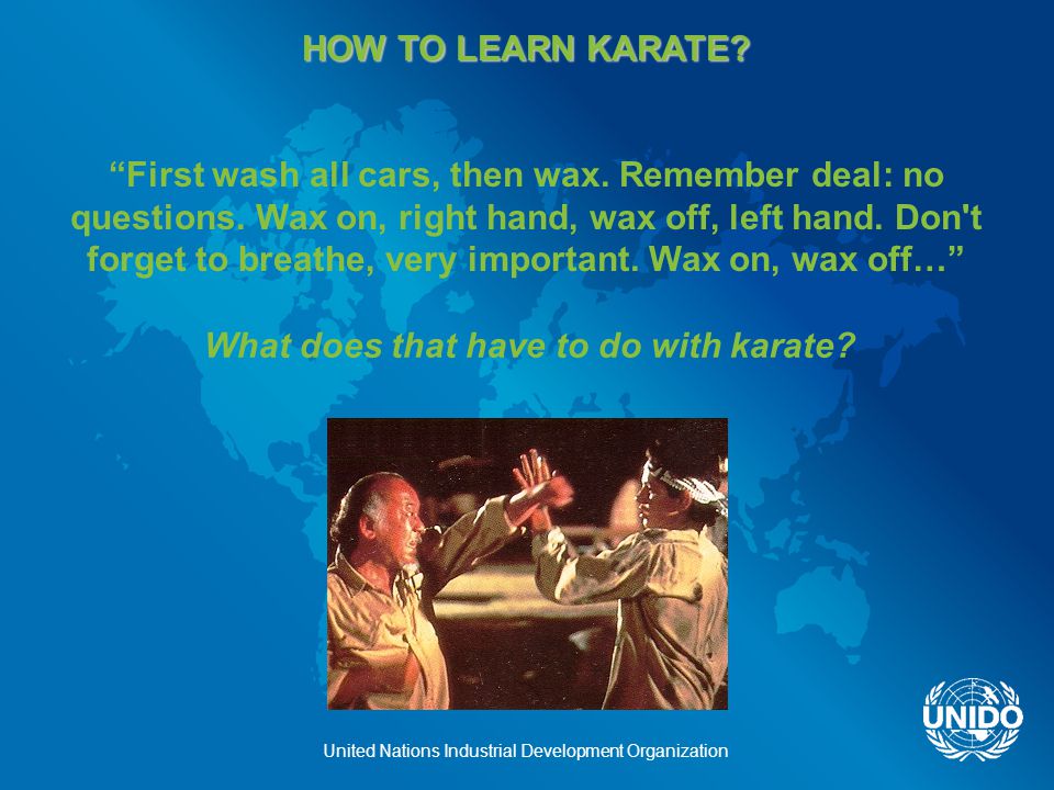 United Nations Industrial Development Organization HOW TO LEARN KARATE.