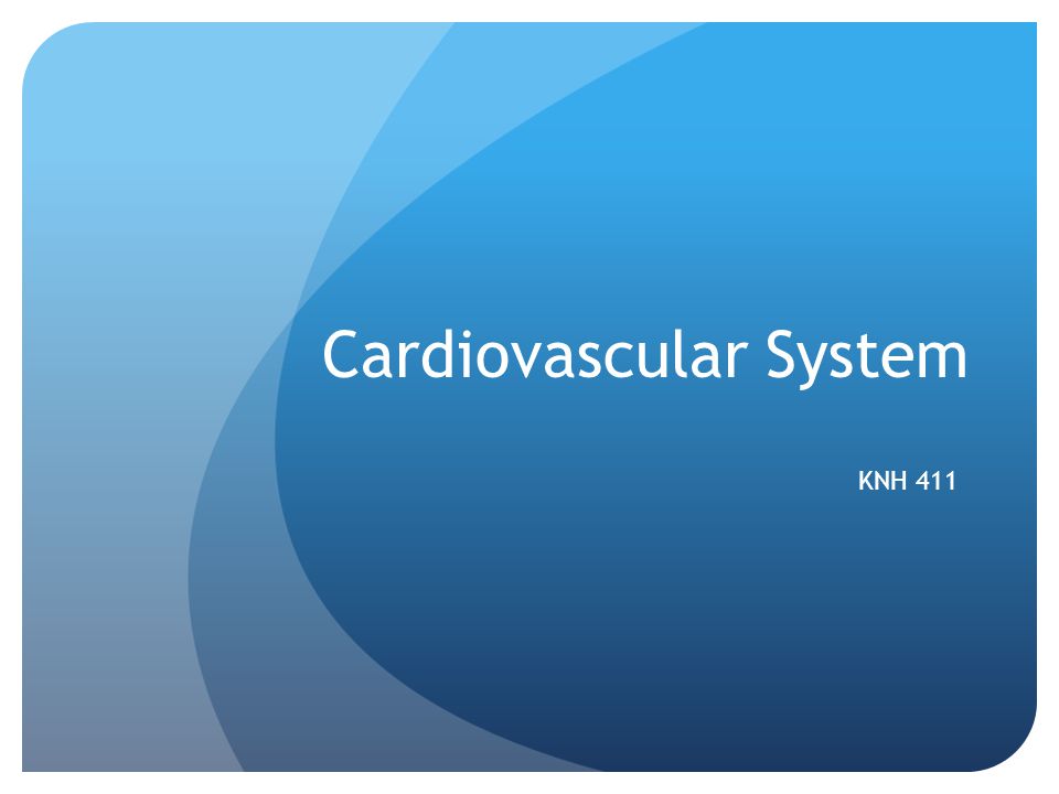 Cardiovascular System KNH 411