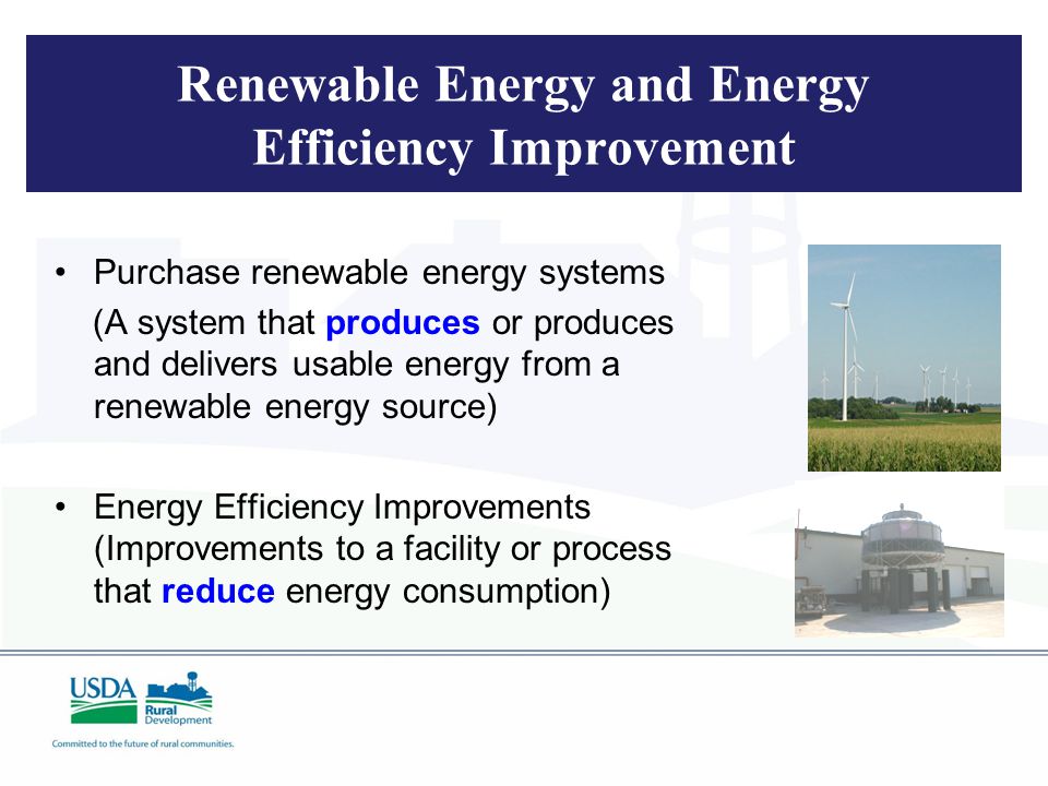 Renewable Energy and Energy Efficiency Improvement Purchase renewable energy systems (A system that produces or produces and delivers usable energy from a renewable energy source) Energy Efficiency Improvements (Improvements to a facility or process that reduce energy consumption)