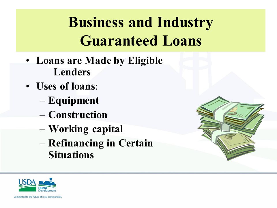 Business and Industry Guaranteed Loans Loans are Made by Eligible Lenders Uses of loans: –Equipment –Construction –Working capital –Refinancing in Certain Situations