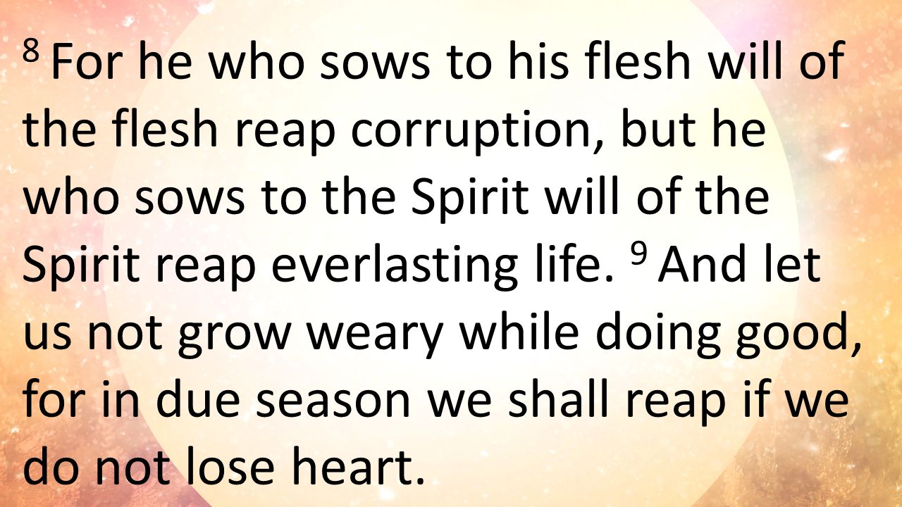 8 For he who sows to his flesh will of the flesh reap corruption, but he who sows to the Spirit will of the Spirit reap everlasting life.