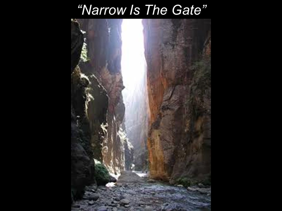 Narrow Is The Gate