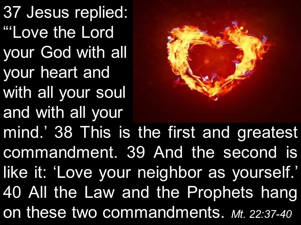 37 Jesus replied: ‘Love the Lord your God with all your heart and with all your soul and with all your mind.’ 38 This is the first and greatest commandment.