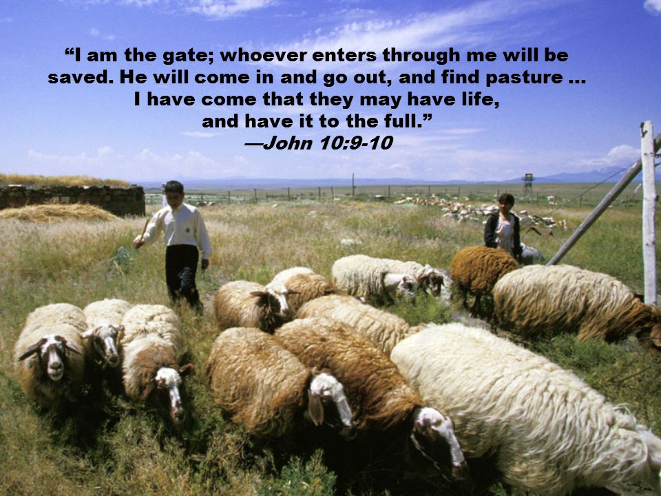 I am the gate; whoever enters through me will be saved.