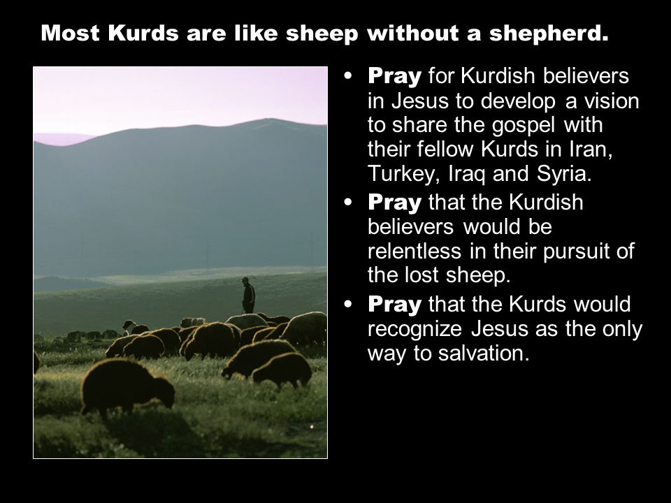 Pray for Kurdish believers in Jesus to develop a vision to share the gospel with their fellow Kurds in Iran, Turkey, Iraq and Syria.