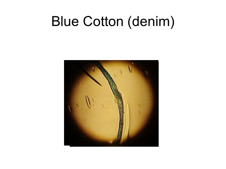 Blue Cotton (denim)