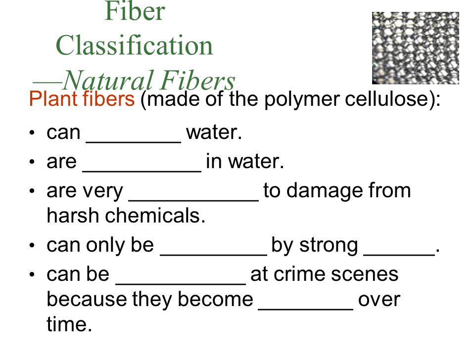 Fiber Classification —Natural Fibers Plant fibers (made of the polymer cellulose): can ________ water.