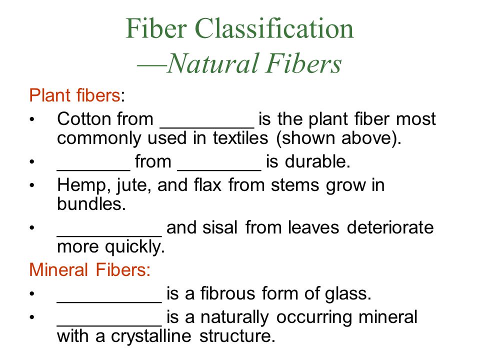 Fiber Classification —Natural Fibers Plant fibers: Cotton from _________ is the plant fiber most commonly used in textiles (shown above).