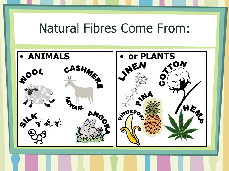 Natural Fibres Come From: ANIMALSor PLANTS