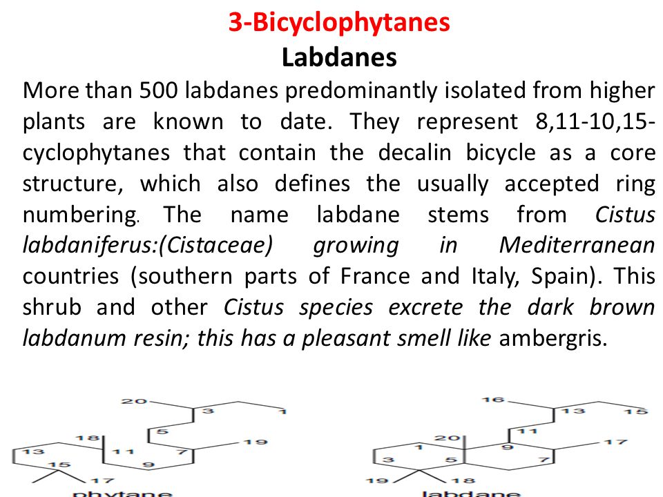Labdanes More than 500 labdanes predominantly isolated from higher plants are known to date.