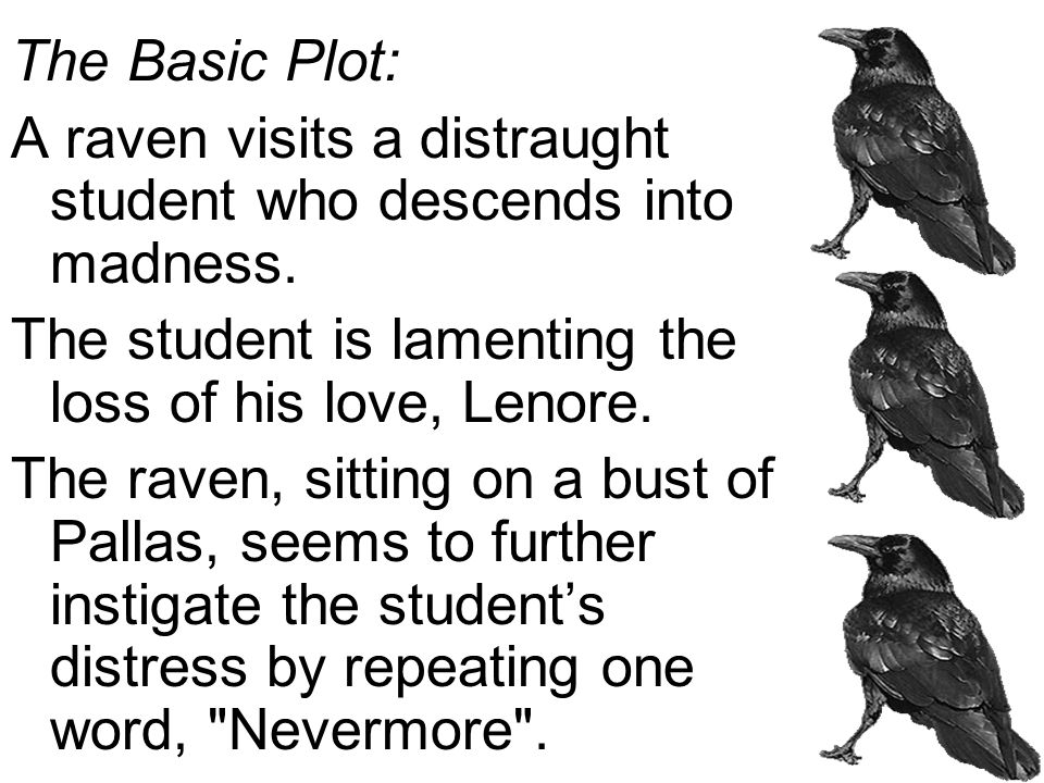 The Raven A Poem by Edgar Allan Poe The poem features a mysterious bird  that speaks only one word… - ppt download