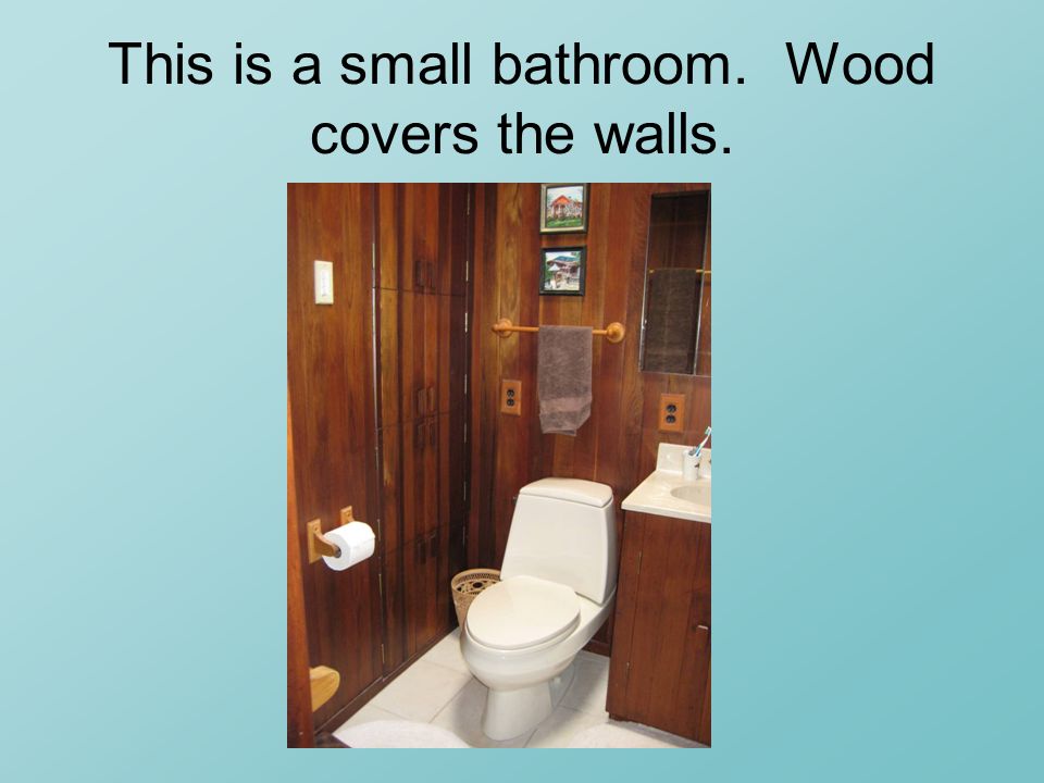 This is a small bathroom. Wood covers the walls.