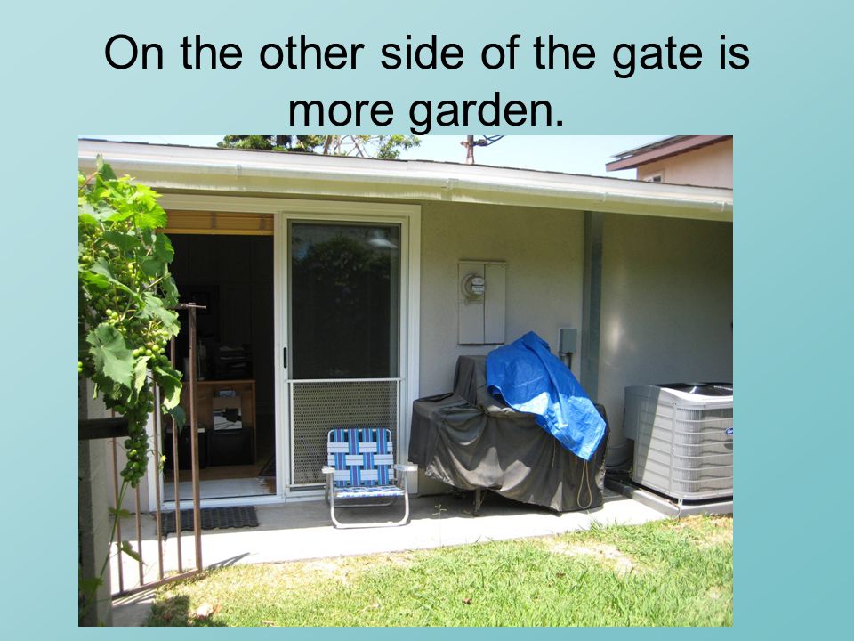 On the other side of the gate is more garden.