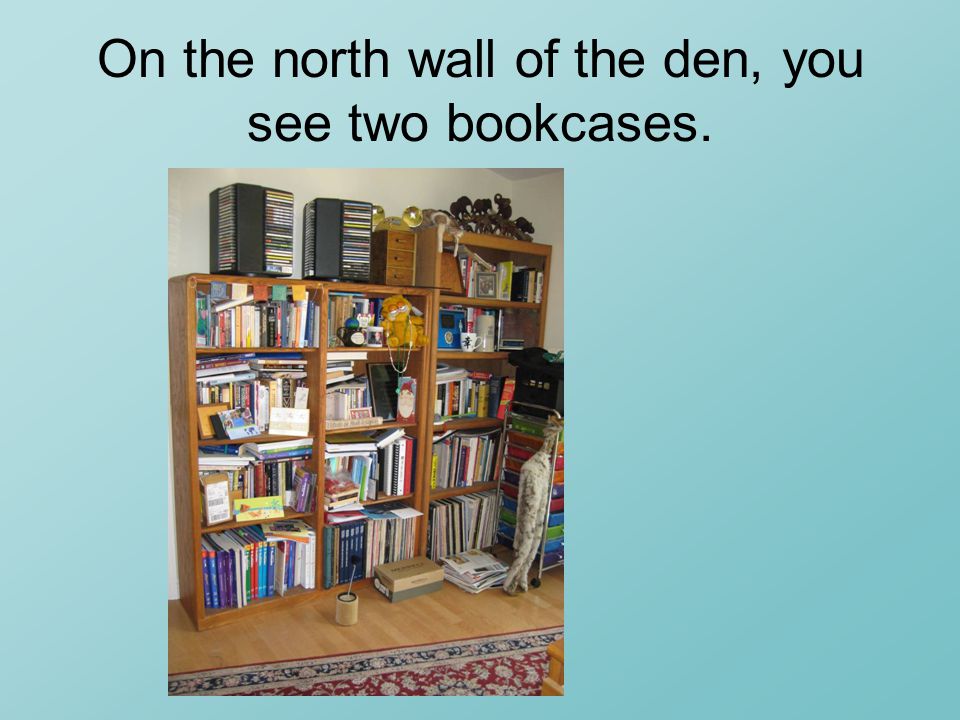 On the north wall of the den, you see two bookcases.