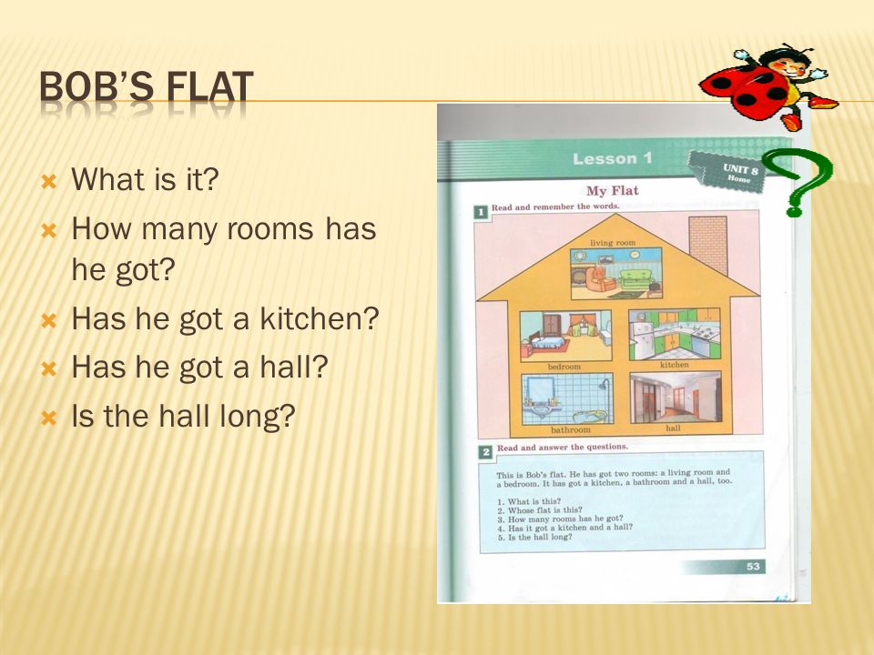  What is it.  How many rooms has he got.  Has he got a kitchen.